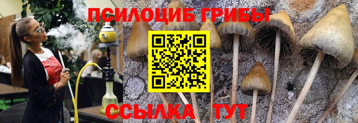 Псилоцибиновые грибы прущие грибы  Псилоцибиновые грибы мицелий  Орёл  Вход с VPN 