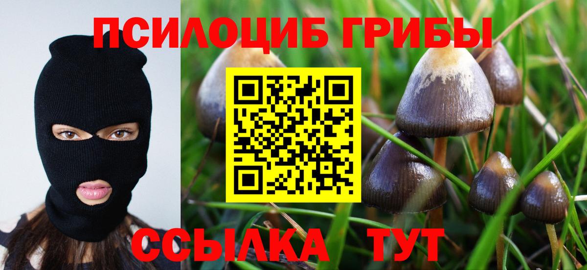 Галлюциногенные грибы MAGIC MUSHROOMS Орёл